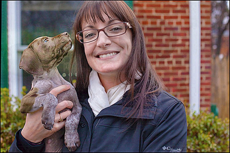 clarice new pup 2013 a med med hr-25