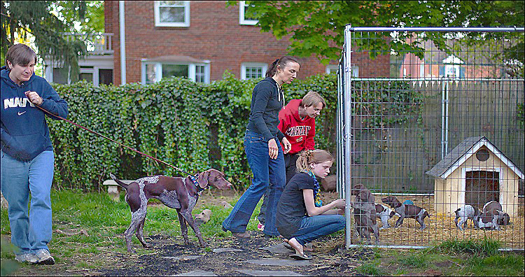 kennel visitors a-2 med hr